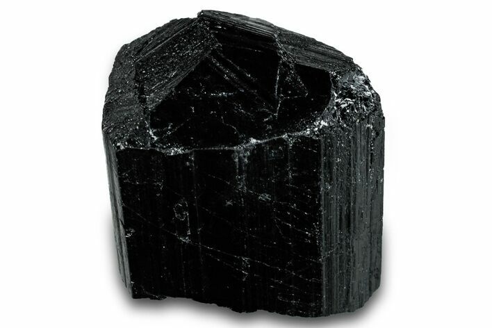 Terminated Black Tourmaline (Schorl) Crystal - Madagascar #261757